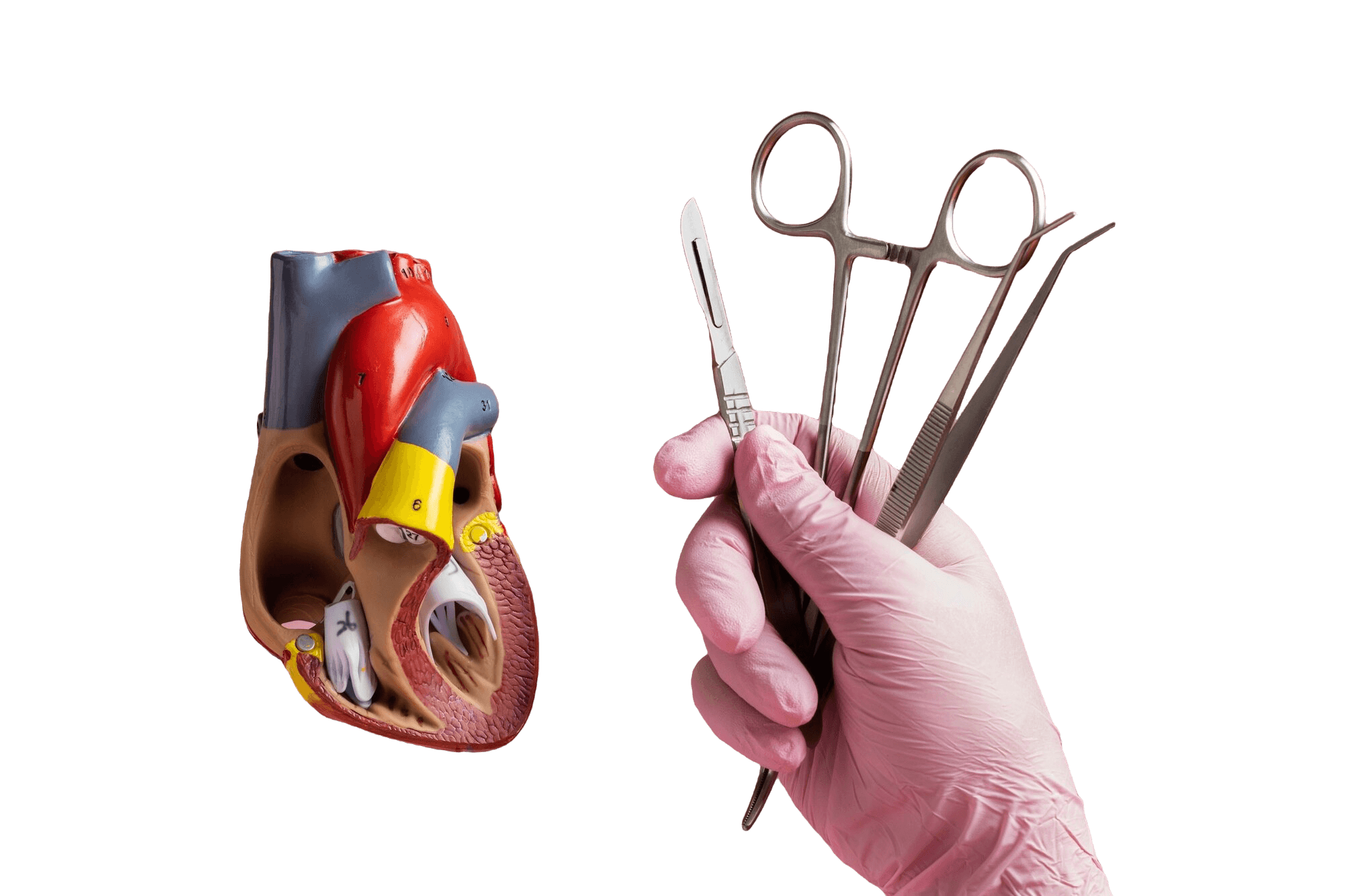 Advanced Cardiac Surgery